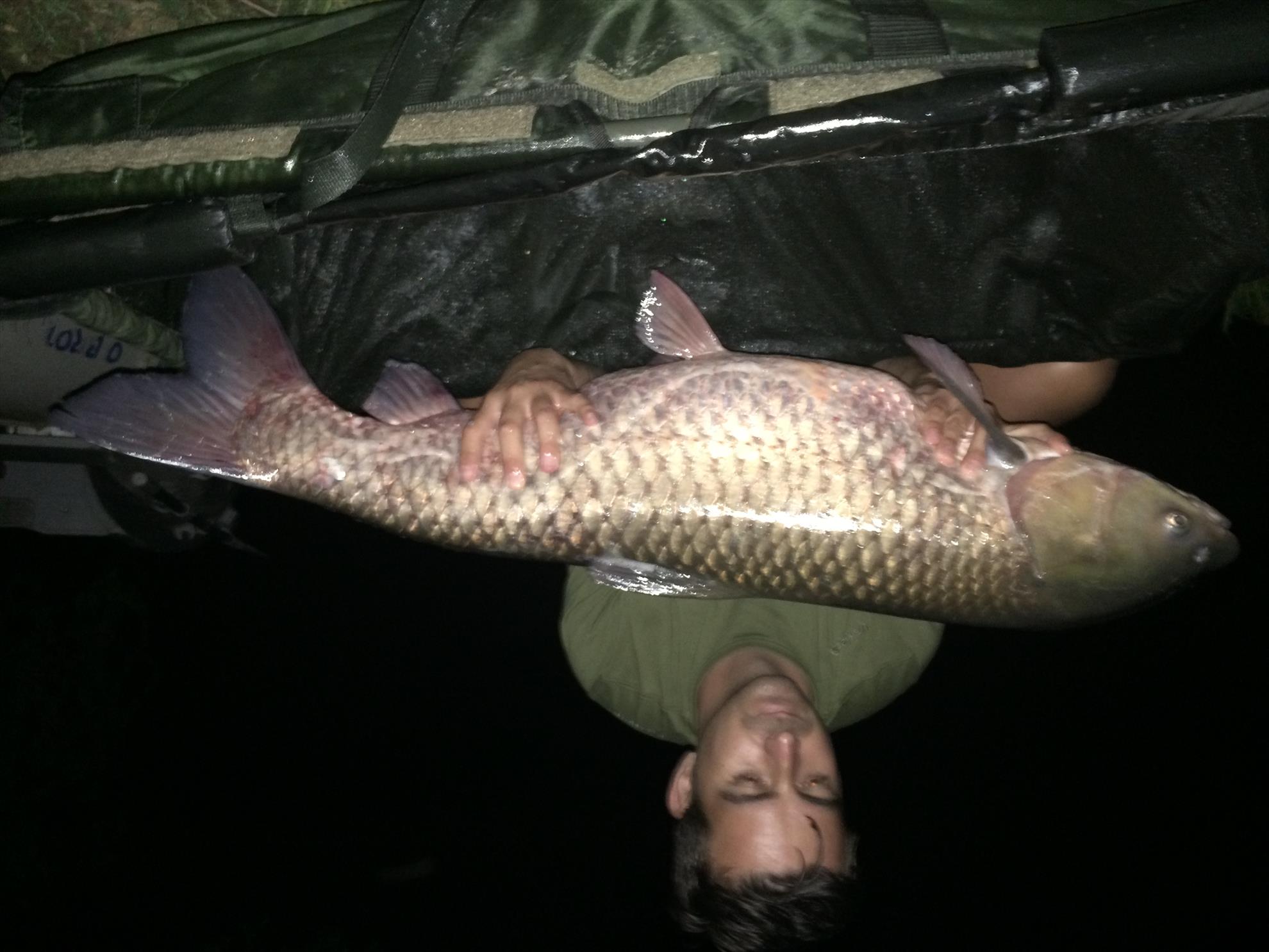 PILHAN  - ten-18-kg.JPG